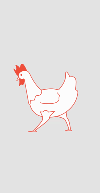 Chicken Walking
